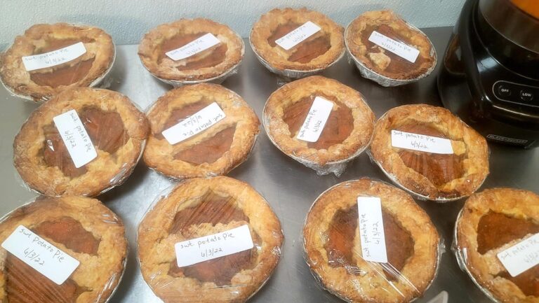 285683052 426272016168852 1033485009538774014 n 768x433