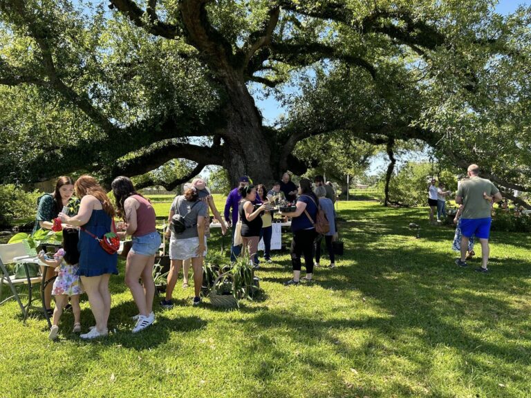 342719611 239103115334024 3059743012415653889 n 768x576