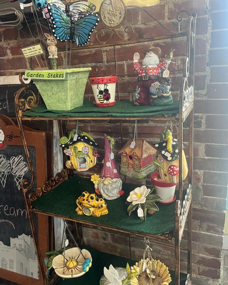 358545623 267323385895489 7823453024699492436 n 768x960